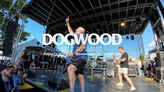 Dogwood - Rest Assured (Live at Furnace Fest 2024)