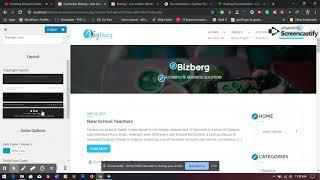 Bizberg WordPress Theme: How to change copyright layout ?