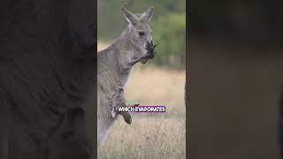 Fascinating Animal Facts That Will Leave You Speechless!