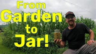 CAN You Do This? - Green Beans Picked and Canned in Pressure Cooker - Garden Learning