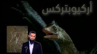 أركيوبتركس - أيقونة التطور