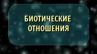 Биотические отношения в природе. Биология