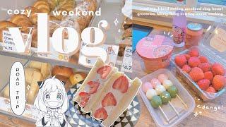 aesthetic weekend vlog // staying in a tiny house, anime, cooking + fruit sando, road trip, hmart