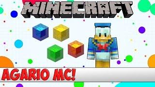 Minecraft Plugin Tutorial - Agario MC