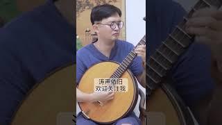 中阮弹奏《涛声依旧》 #chinese #music #音乐 #中国音乐 #guitar #刀郎 #吉他 #罗刹海市