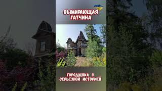 Ужасающая правда вымирающий город Гатчина #гатчина #ленинградская #будущеерф #приколы #будущеероссии