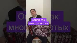 Огней так много золотых #дмитрийгармонист #огнейтакмного #гармонист