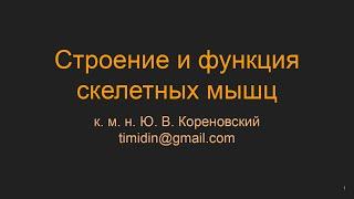 Строение и функция скелетных мышц