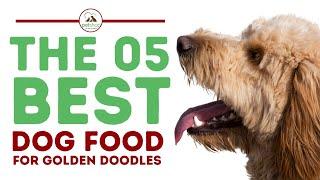 The Best Dog Food for Goldendoodles