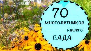 70 многолетников на семи сотках и их недостатки, много или мало️2022️Лучшие многолетники для сада