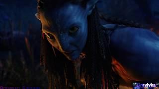 Нейтири Спасает Джейка ... отрывок из фильма (Аватар/Avatar)2009