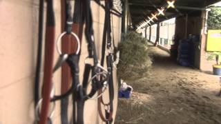 Bob Baffert's Los Alamitos Barn