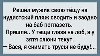 Как Зять Тещу На Нудистский Пляж Сводил! Сборник Свежих Анекдотов! Юмор!