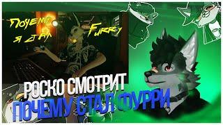  Роско смотрит Vix Fox - Почему я стал ФУРРИ?