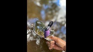 Tough Day Fishing for Murray Cod