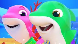 Baby Shark Song, Cartoon Video and Nursery Rhymes by Cherry Tree