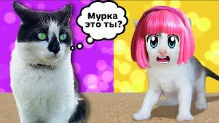 СМЕШНЫЕ РОЗЫГРЫШИ ДЛЯ КОТОВ! КОТ Малыш и КОШКА МУРКА и НОВЫЕ ПРИКОЛЫ