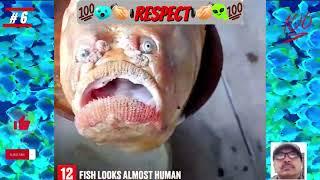 Respect23#short#yt short#Viral#Respect videos # Respect videos Like a Boss | tiktok video 2023 #