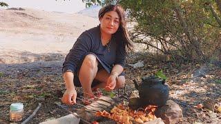 Rural Life Iran |Cooking kebab in the Forest |Village life iran