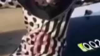 إن هذا العام في خطررر