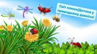 Світ комах/Дитина в природному довкіллі