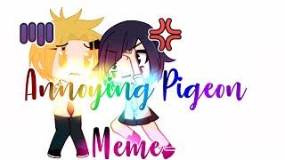 Annoying Pigeon Meme-  •Mha/Bnha•Gacha Club Skit