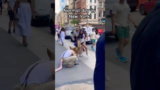 Have you been to New York? #buddytherat #funny
