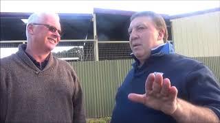 Australian Thoroughbred Bloodstock - Racehorse Shares & Syndications