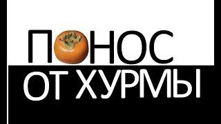 ПОНОС от ХУРМЫ, хурма вяжет?