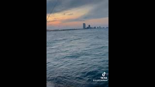 How to catch a fish quick #fishing #RGV#southpadreisland #956