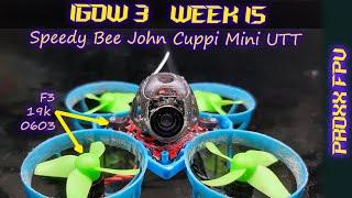 IGOW3: week 15 (Speedy Bee John Cuppi Mini UTT)