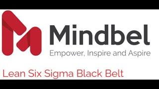 Lean Six Sigma Black Belt