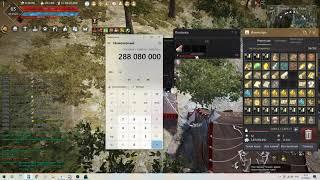 Заработок 300-380 миллионов в час на сборе, 90+ Кафрасов в час  - гайд по Black Desert