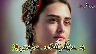 Zindgi Dy Talkh Halat Dy Wich | Saraiki Song Status | Punjabi Song Status |Pakistani Ost Drama stats