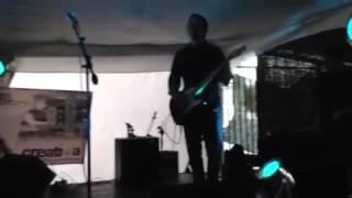Pinto Boludo