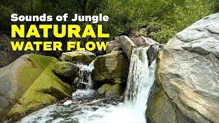 2 Hrs, Relaxing, Original, Meditation, Natural Water Flow Sounds in the Jungle