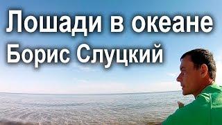 Лошади в океане - Борис Слуцкий