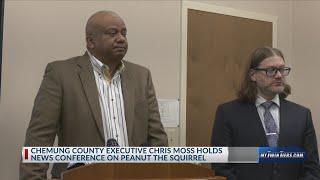 Chemung County releases rabies test results regarding Peanut the squirrel