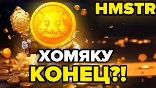 HMSTR (ХОМЯК) ПРИЧИНЫ ДЛЯ РОСТА! КАК БУДУТ ПАМПИТЬ ТОКЕН ДАЛЬШЕ?! HAMSTER KOMBAT