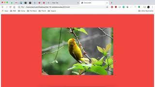 2.2 How to center align an image in HTML?