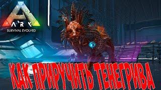 Как легко приручить ТЕНЕГРИВА | ARK survival evolved