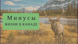 МИНУСЫ ЖИЗНИ В КАНАДЕ / ЧТО В КАНАДЕ БЕСИТ БОЛЬШЕ ВСЕГО?