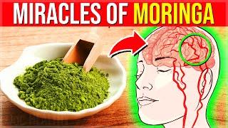 Eat Moringa Powder DAILY For 2 Weeks, See What Happens To Your Body