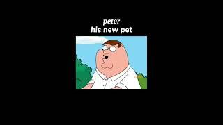 Peter his new pet #shorts #music #pettergriffin #pet #funny #viralshort @FamilyGuyFlashbacks