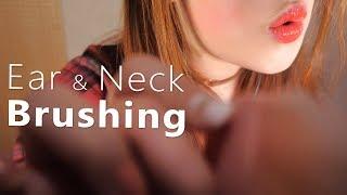 ASMR Ear & Neck Brushing (BASS Boosted, Ear Blowing, Various, Face Brushing)