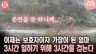 [마냥 이쁜 우리맘 50회 ②] 이제는 보호자이자 가장이 된 엄마 3시간 일하기 위해 3시간을 걷는다