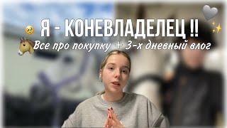 Как Я стала КОНЕВЛАДЕЛЬЦЕМ: история покупки + влог 🫶