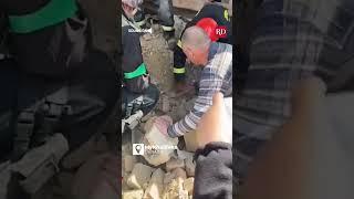 Ukrainian Rescuers save dog after explosion | Everyday Heroes