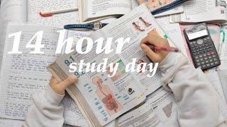 Vlog 01 // 14 Hour Study Day