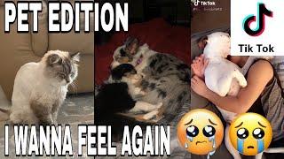 I WANNA FEEL AGAIN TIKTOK COMPILATION | PET EDITION | TRY NOT TO CRY 